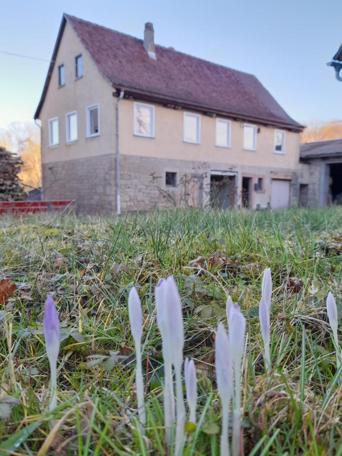 Villa Land-Haeusle Weikersheim Esterno foto